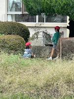 芝生の前には３年生の子供たちとたくさんの竹の画像6