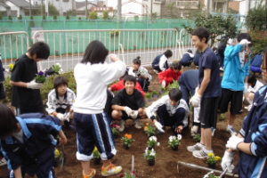 霞台の花（冬）の画像3
