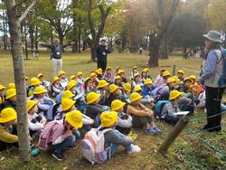 初めての校外学習で「わかぐさ公園」に仲良く行ってきました！　11月15日の画像4