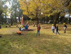 初めての校外学習で「わかぐさ公園」に仲良く行ってきました！　11月15日の画像8