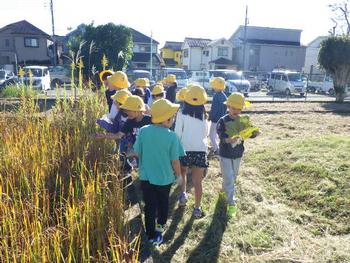 14日（木曜日）は、生活科見学で「わかぐさ公園」に行きます。の画像