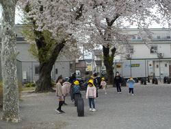 1年生！頑張っています！4月26日の画像2