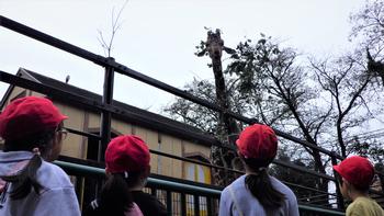 生活科見学　ヒノトントンZooの画像2