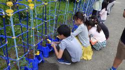 5月10日（金曜日）ミニトマトを育てようの画像1