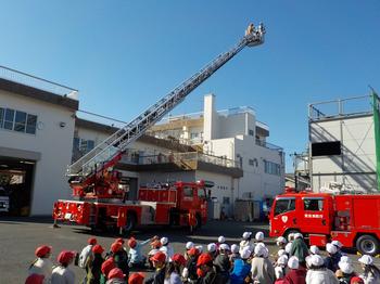 12月5日（木曜日）消防署見学の画像3