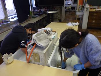 12月5日（木曜日）家庭科　「物を生かして住みやすく」パート1の画像1
