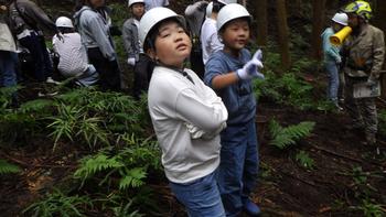 選木ー伐倒方向決めー樹高予測の画像2