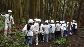 ロープ牽引ー枝払いー枝運びー丸太運びの画像2