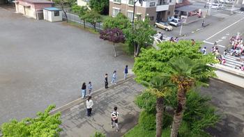 5月14日（火曜日）国語・学活　「委員会活動～インタビューも～」の画像1
