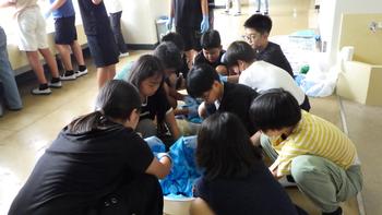 6年　体育学習発表会の練習の画像4