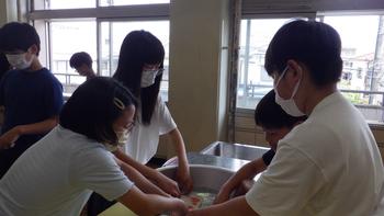 家庭科「手洗い洗濯実習」の画像2