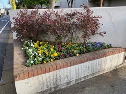 11月8日（金曜日）の校長ブログの画像1