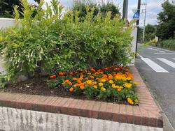 6月7日（金曜日）の校長ブログの画像1