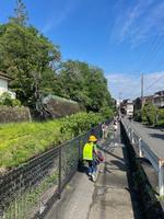 東青梅方面へ散歩に出かけましたの画像