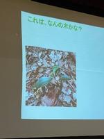 「青梅の森」についての画像3