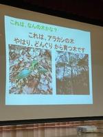 「青梅の森」についての画像4