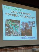 「青梅の森」についての画像6