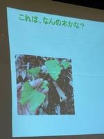 「青梅の森」についての画像7