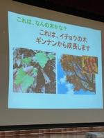 「青梅の森」についての画像8