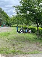 花木園へ遠足の画像13