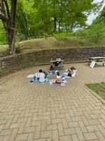 花木園へ遠足の画像14