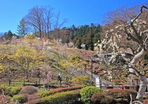 umepark