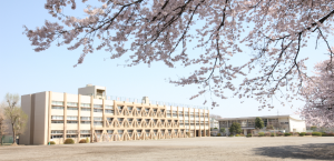 校舎の全景と桜の写真