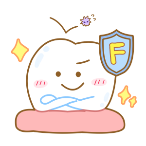 フッ素でコーティングされた歯