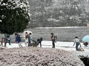 授業写真