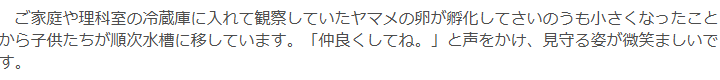 テスト画像