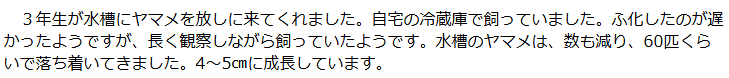 テキスト画像