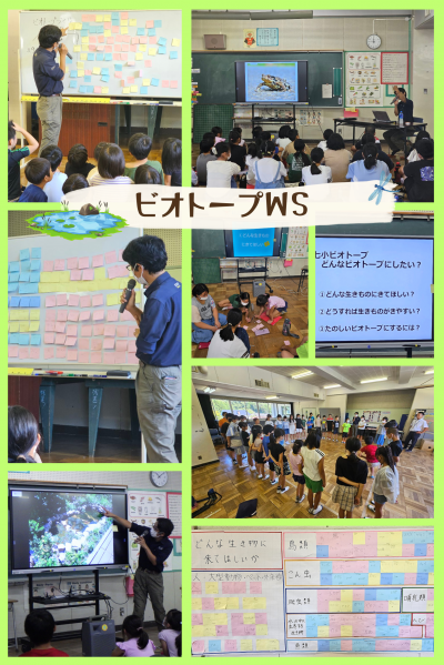 ビオトープWS