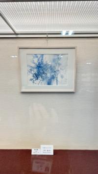 展示3