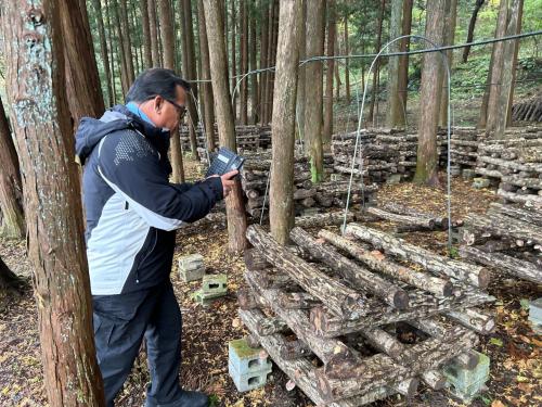 カマチョ市長が市内のきのこ園を見学している写真