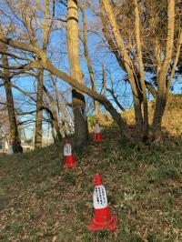 設置したトラップ