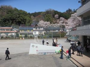 校庭の様子