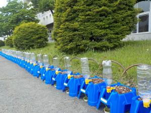 DSCN5523