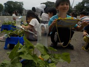 DSCN5682