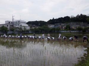 田植え１