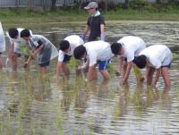 田植え３