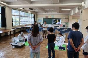 実際にウサギに触れながら