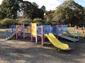 現状のわかぐさ公園複合遊具1