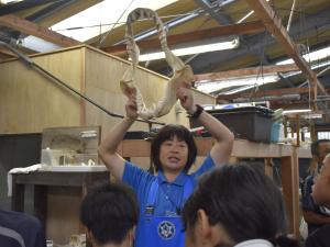 バックヤード１