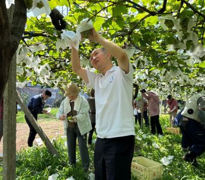8月20日ボッパルト市友好のぶどう収穫の写真