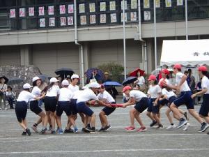 棒引き