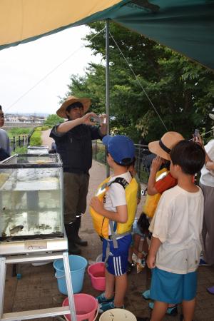 川遊びを楽しむ様子