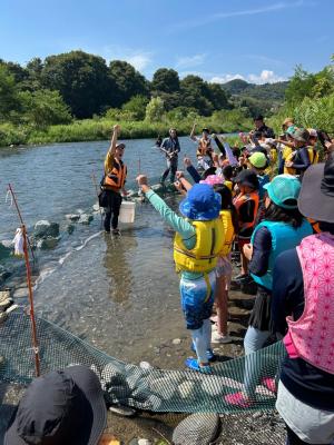 魚の手掴みを楽しむ様子