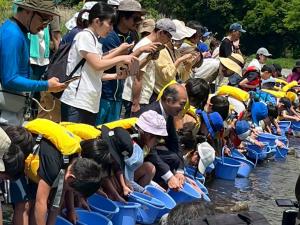 魚を放流する様子
