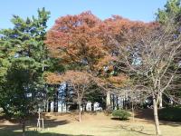遠足②