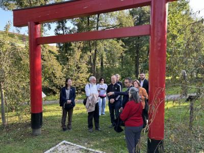 日本庭園の写真